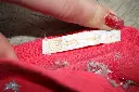 IMG_1461[1].webp