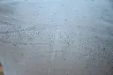 472581415_122126661770395194_4305184091430591555_n.webp