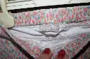 IMG_1227[1].webp