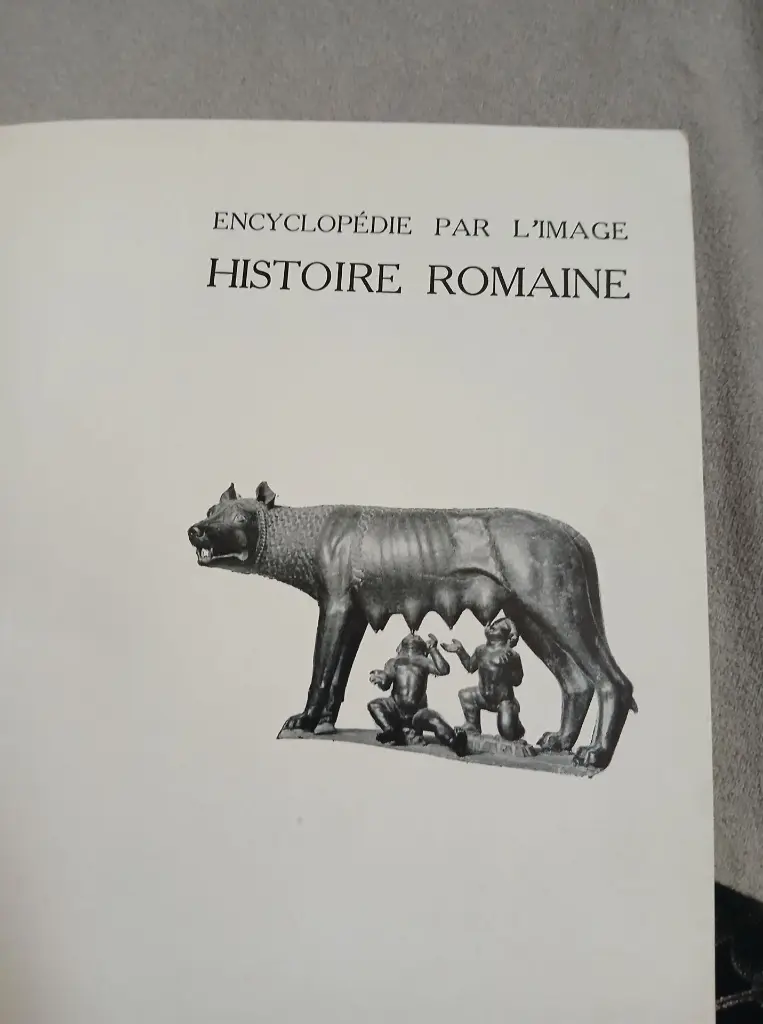 480969829_122136003680395194_1052133959555655116_n.webp