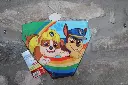 IMG_1732[1].webp