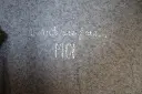 IMG_1637[1].webp