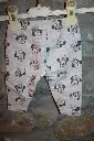IMG_1160[1].webp