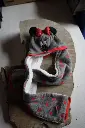 Bonnet / écharpes