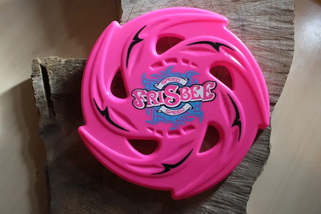 Frisbee