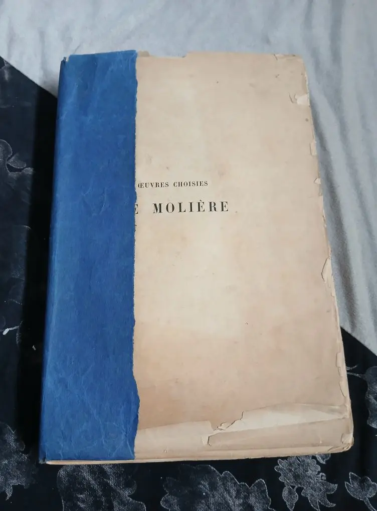Notice sur molière