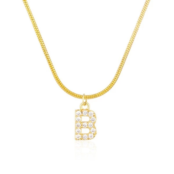 Collier en acier chirurgical