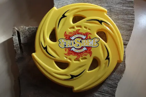 Frisbee
