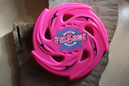 Frisbee