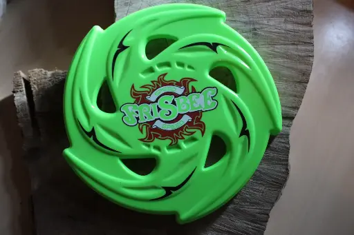 Frisbee