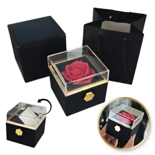 [PDOZ26CZ] coffret à bijoux