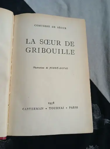 La sœur de gribouille 